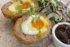 scotch-egg