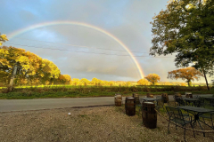 gallery-rainbow
